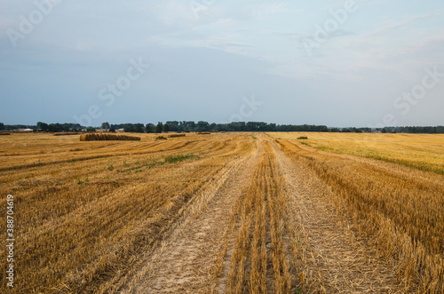 Field road laid by a tractor and cars on the stubble and on the left are rolls of straw