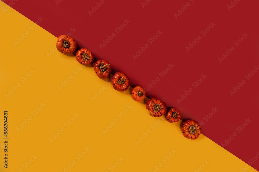Line of little pumpkins over yellow and red background