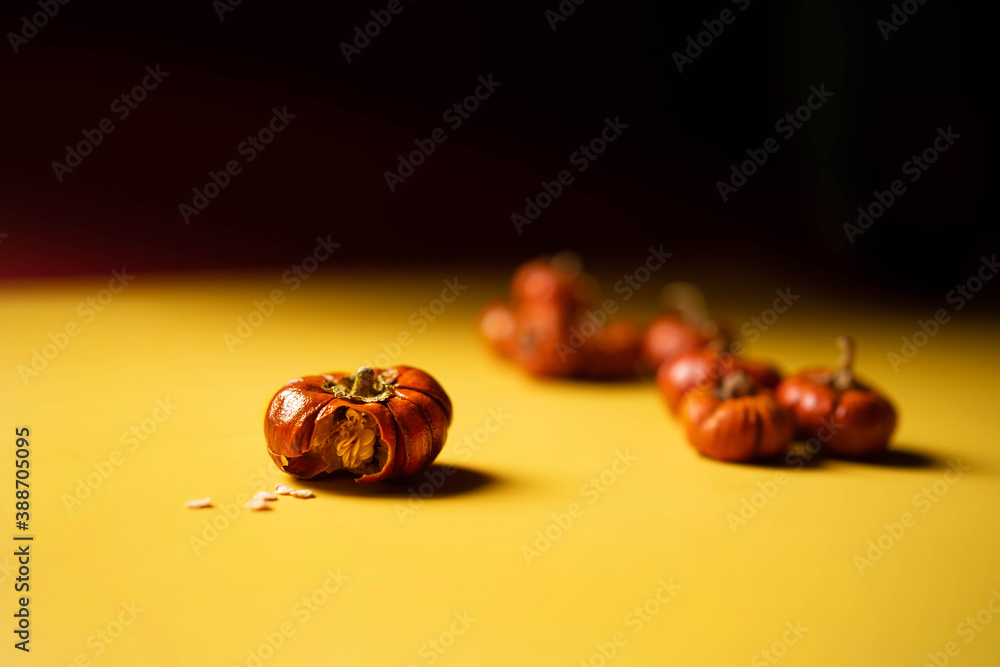 Group of little pumpkins with seeds inside over yellow surface