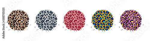 Leopard print textured hand drawn brush stroke circle shape set. Abstract paint spot with wild animal cheetah skin pattern texture. Vector design element for fashion print design, tag, backgrounds