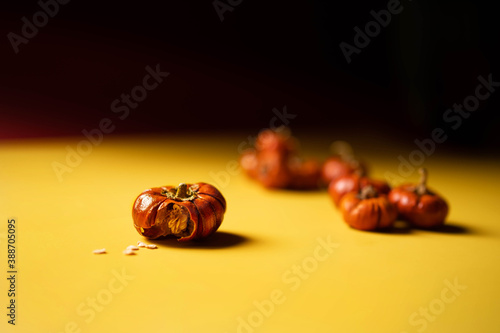 Obraz na płótnie Group of little pumpkins with seeds inside over yellow surface w salonie