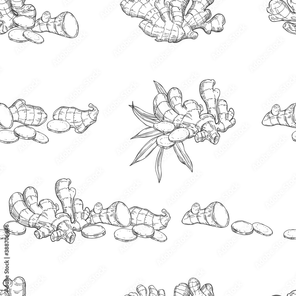 Vector pattern with Ginger root.