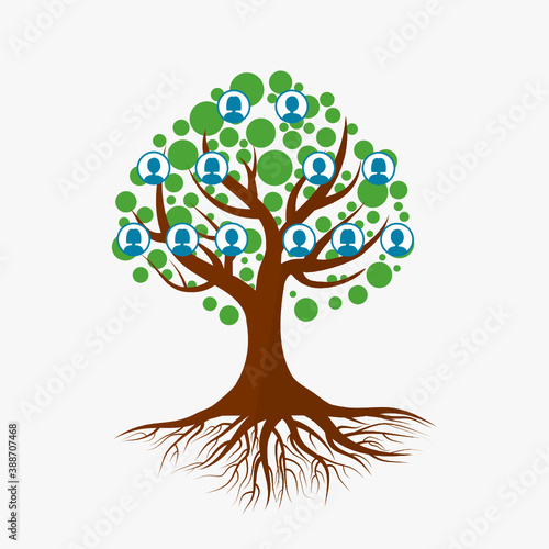 Family trees isolate on white background.