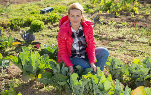 Portrait of positive woman working in homestead, satisfied with growing cabbage. High quality photo