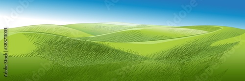 Vector sketch Green grass field on small hills. Meadow, alkali, lye, grassland, pommel, lea, pasturage, farm. Rural scenery landscape panorama of countryside pastures. illustration