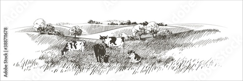 Vector sketch Green grass field on small hills. Meadow, alkali, lye, grassland, pommel, lea, pasturage, farm. Rural scenery landscape panorama of countryside pastures. illustration