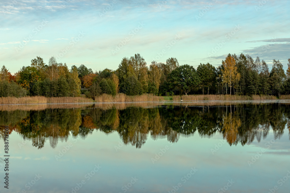 reflection of trees in water