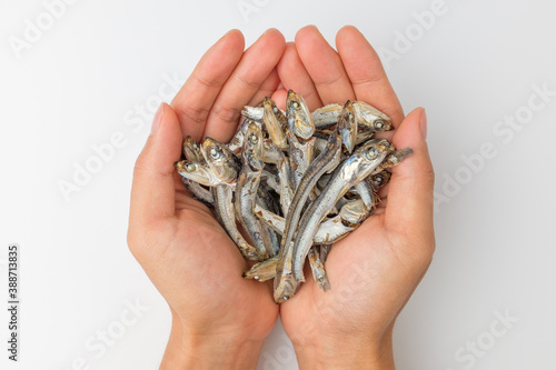 Dry anchovies on white background
