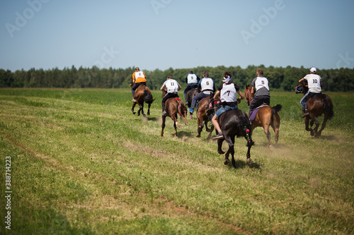 horse racing in the field on Sabantui