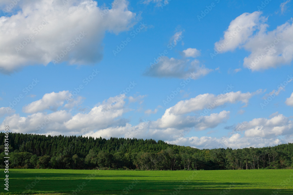 草原と雲 草原と雲