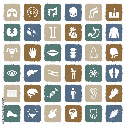 Human Anatomy Icons. Grunge Color Flat Design. Vector Illustration.