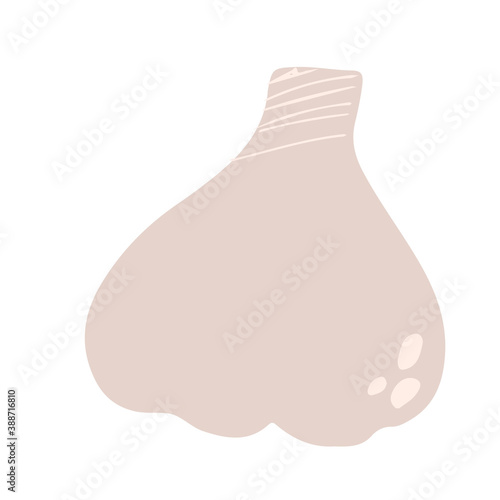 Garlic in a cartoon style. Vector image. Isolated on white