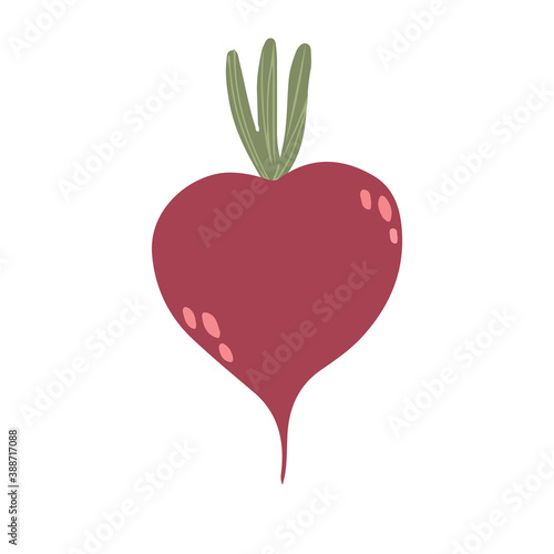 Beetroot in cartoon style. Vector image. Isolated on white
