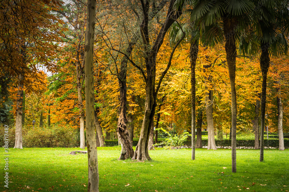 Obraz premium Autumn landscape of El Retiro Park, the oldest in the city of Madrid, in Spain.