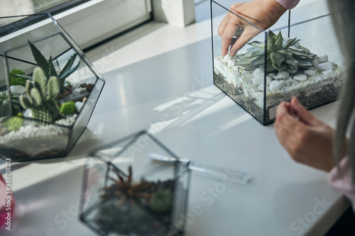 Female hands putting stones into geometric glass terrarium