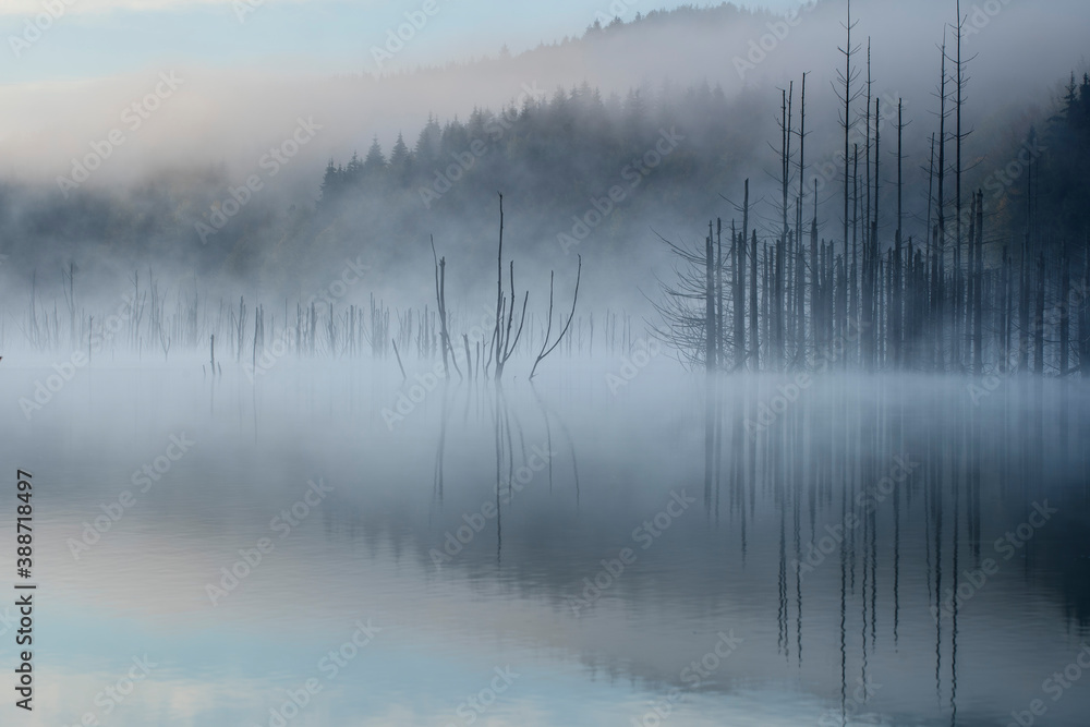 Moody mists over spooky lake in Romania - Cuejdel lake