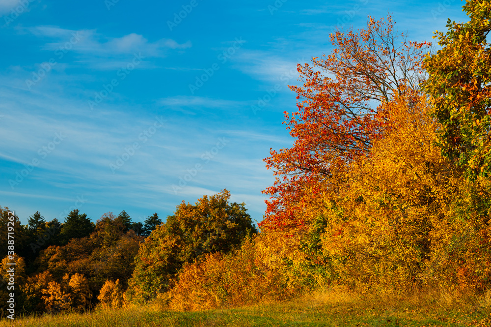 Naklejka premium Barevný podzim 