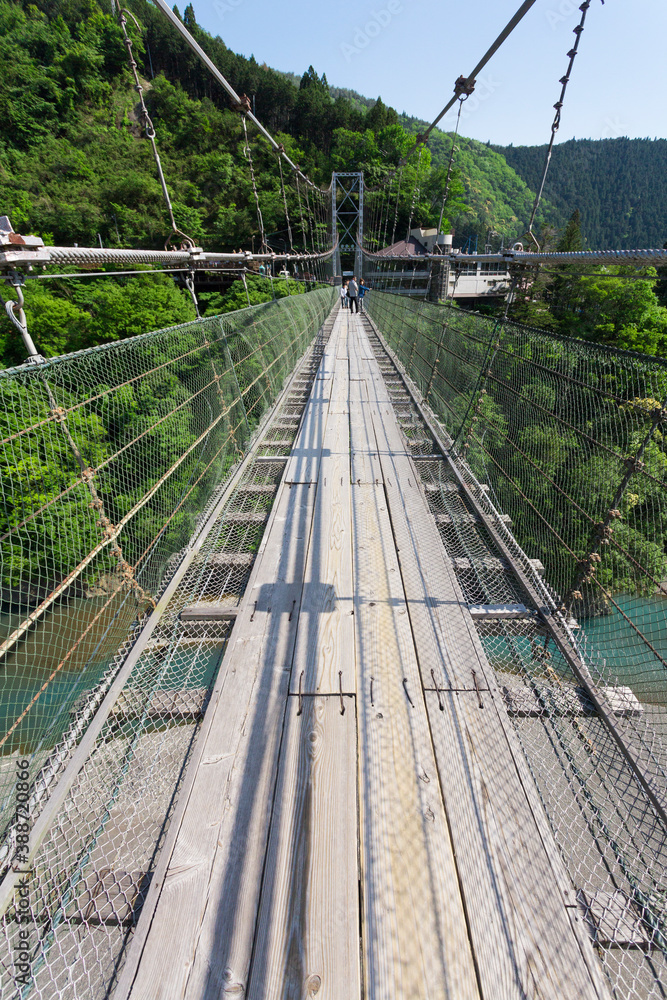 Fototapeta premium 谷瀬の吊り橋