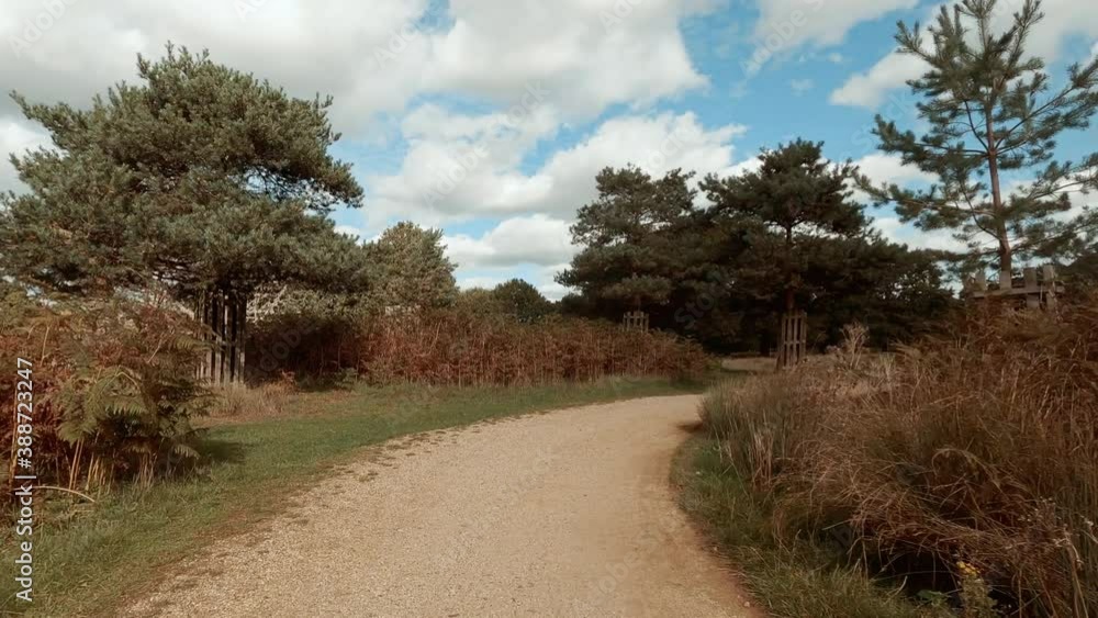 Stunning bike POV ride on an empty path along the beautiful Richmond countryside, London, England, UK, with lush vegetation Stunning bike POV ride on an empty path along the beautiful Richmond countryside, London, England, UK, with lush vegetation