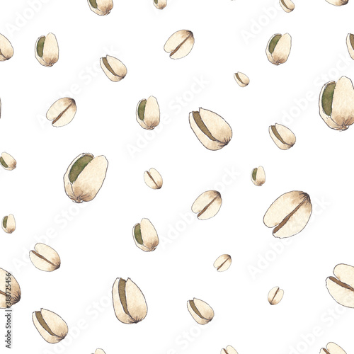 Watercolor sketch various pistachios, pattern