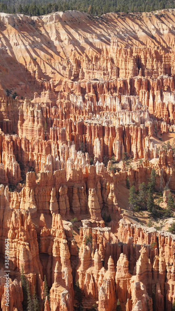 Bryce Canyon National Park with views on the sandstone cliffs from bryce point in Utah, USA. Bryce Canyon National Park with views on the sandstone cliffs from bryce point in Utah, USA.