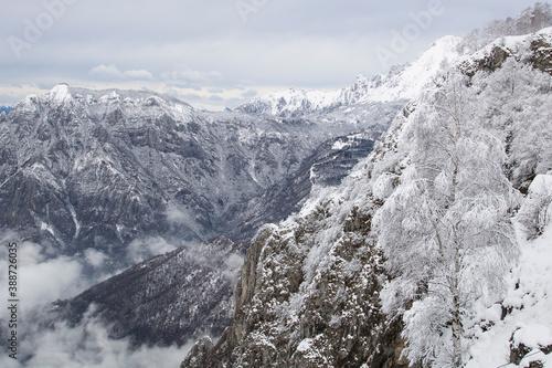 Wallpaper Mural Winter 
Panoramic view of mountain landscape with snow in Italy, Lombardia. Torontodigital.ca
