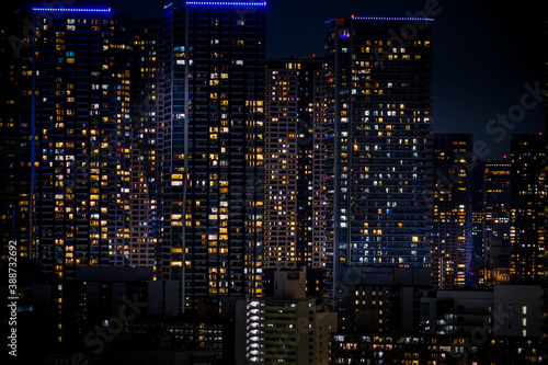 豊洲から見える東京の夜景 © kanzilyou