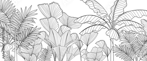 Luxury black and white tropical plant background vector. Floral pattern with golden tropical palm, coconut tree, split-leaf Philodendron plant ,Jungle plants line art on white background.