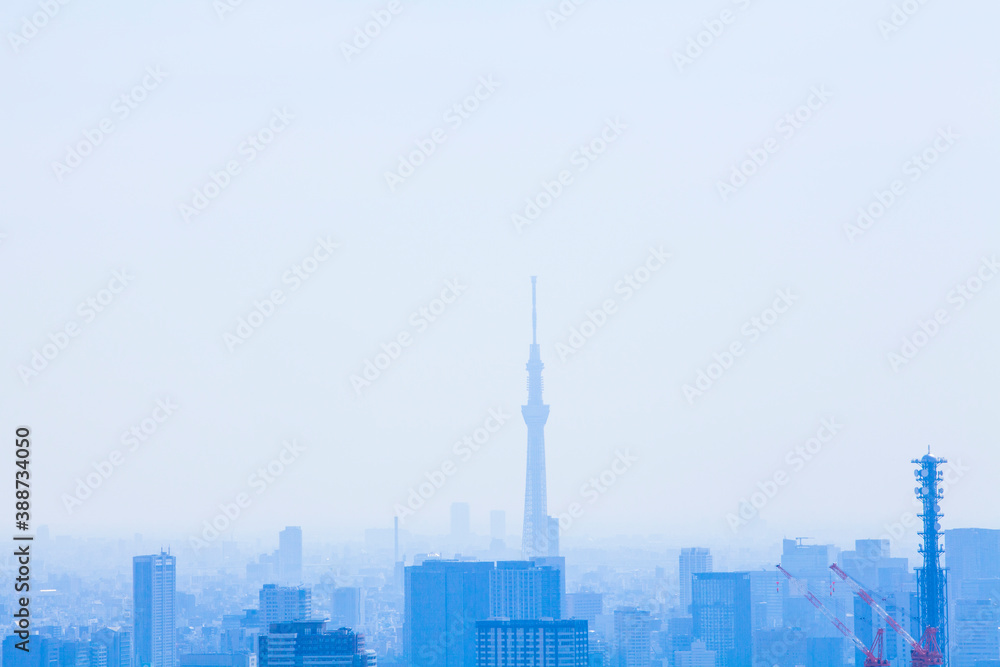 都庁展望台から見た東京スカイツリー