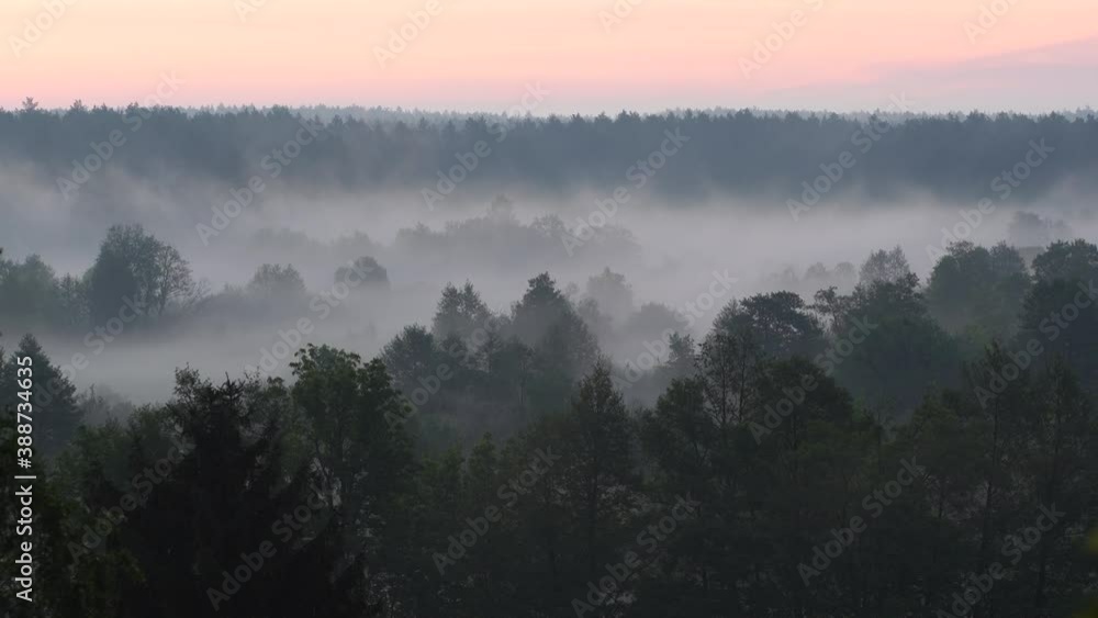 Beautiful countryside sunrise landscape. Early morning fog rolling over scenic green landscape.