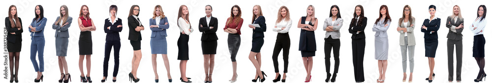 group of successful young businesswoman standing in a row group of successful young businesswoman standing in a row
