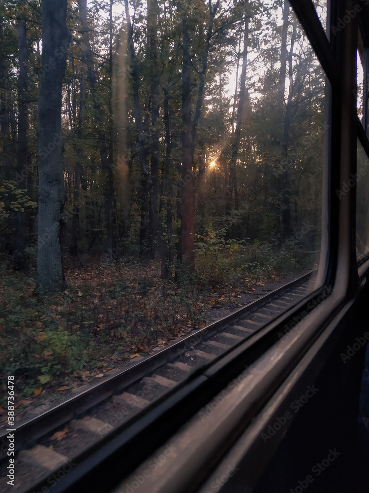 Fototapeta premium Railway and window, sunlight and sunshine, trees and autumn atmosphere 