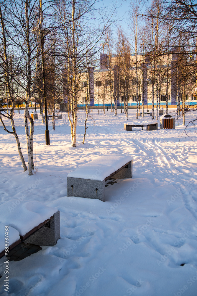 Winter Park, benches in the snow, winter still life Winter Park, benches in the snow, winter still life