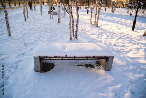Wallpaper Mural Winter Park, benches in the snow, winter still life Torontodigital.ca