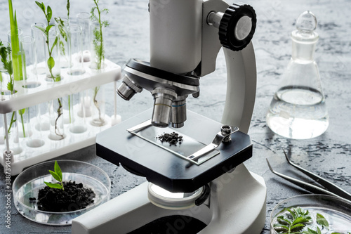 Microscope with plants in biological laboratory. Biological chemistry concept
