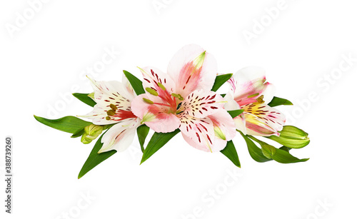 White and coral alstroemeria flowers in a floral arrangement photo