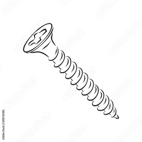 screws, nails isolated on a white background. Vector illustration, metal screw vector sketch illustration