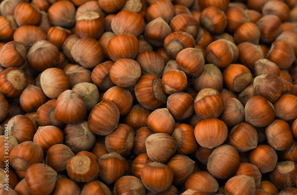 hazelnuts on wooden background