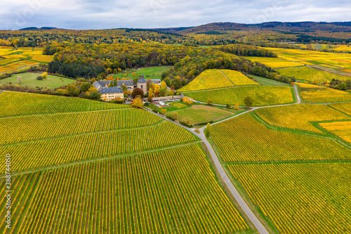 Bird's eye view of the autumnal colored vineyards near Oestrich-Winkel / Germany in the Rheingau and Vollrads Castle photo