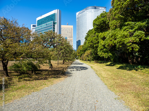 秋晴れの青空広がる東京の浜離宮庭園の風景 10月