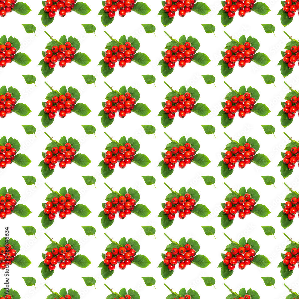 Creative background of red rose hips and leaves. Abstract background. Isolated ripe wild rose on white background not seamless pattern Creative background of red rose hips and leaves. Abstract background. Isolated ripe wild rose on white background not seamless pattern