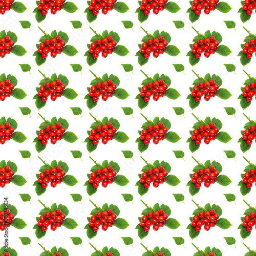 Creative background of red rose hips and leaves. Abstract background. Isolated ripe wild rose on white background not seamless pattern
