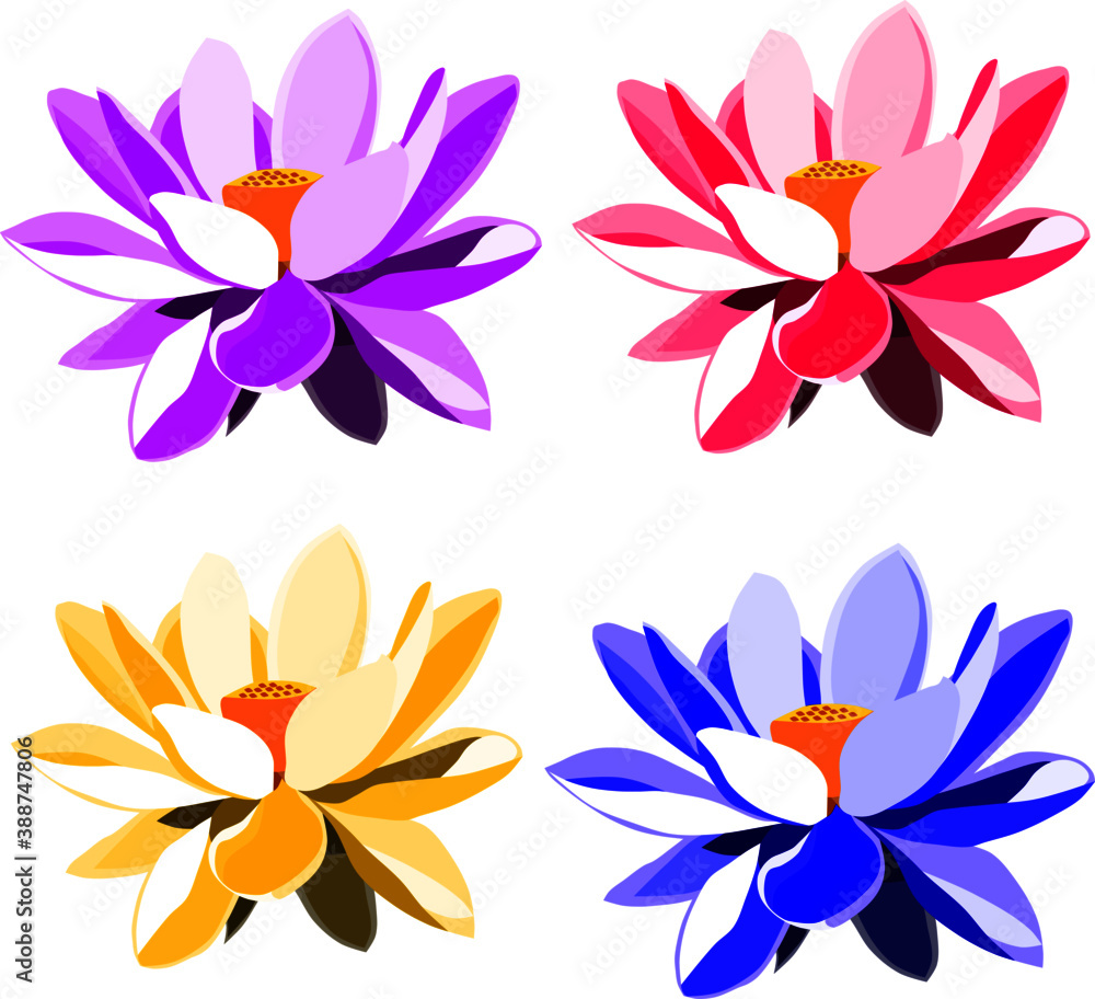 set of vector purple pink yellow blue lotus flowers