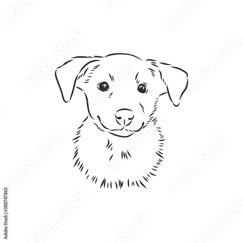 Silhouette simple head dog. Vector illustration. portrait of a dog  vector sketch illustration