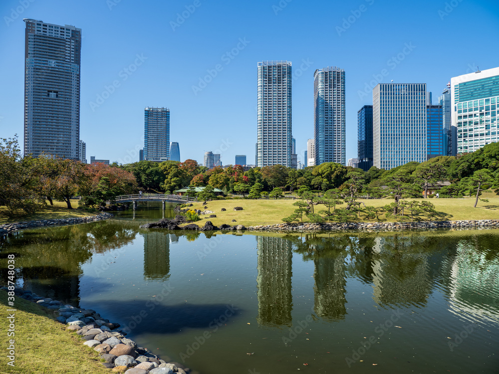秋晴れの青空広がる東京の浜離宮庭園の風景　10月