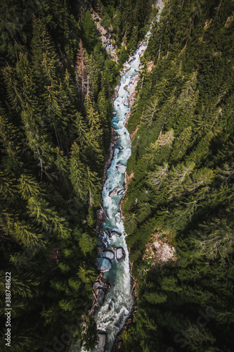 Pine forest from above, fall season, clear river in swiss forest