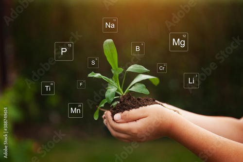 Fotografie Nutrients mineral in soil and plant