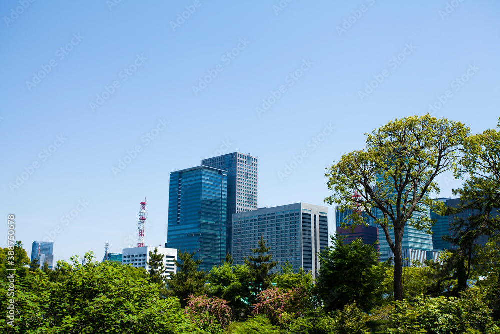 新緑とビル群 新緑とビル群
