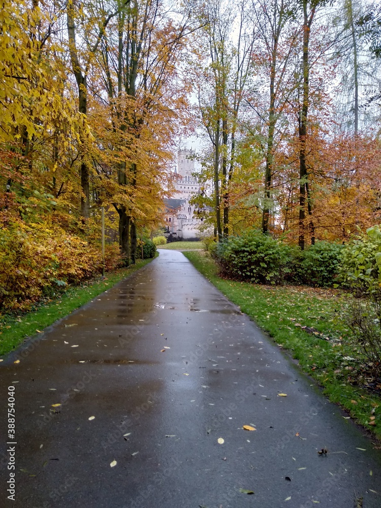 The road to the Castle on falling season