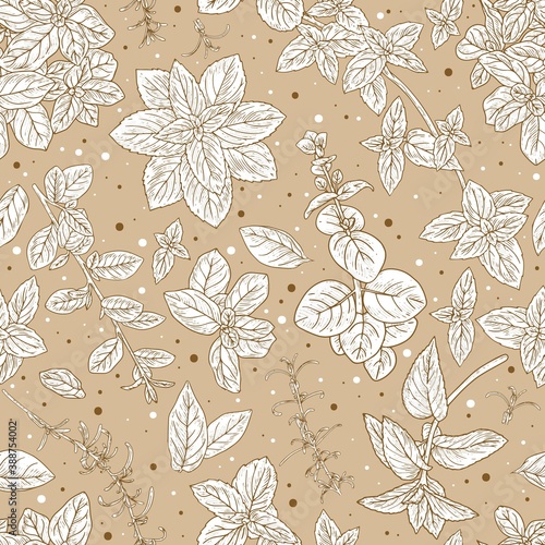 Sketch herbs seamless pattern
